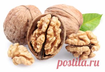 Грецкий орех – в любое время года лекарь.