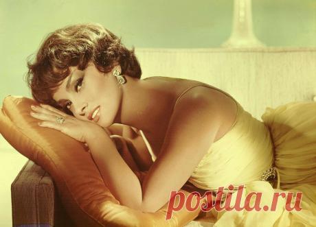 Gina Lollobrigida