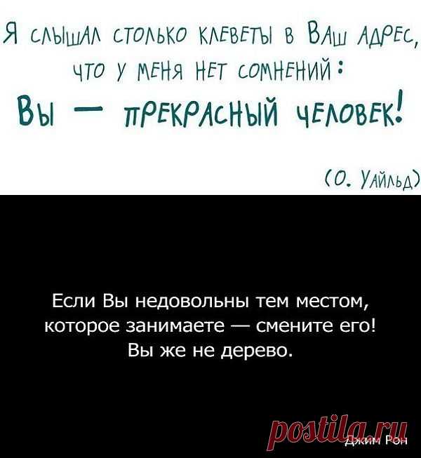Позитивная Чебурда