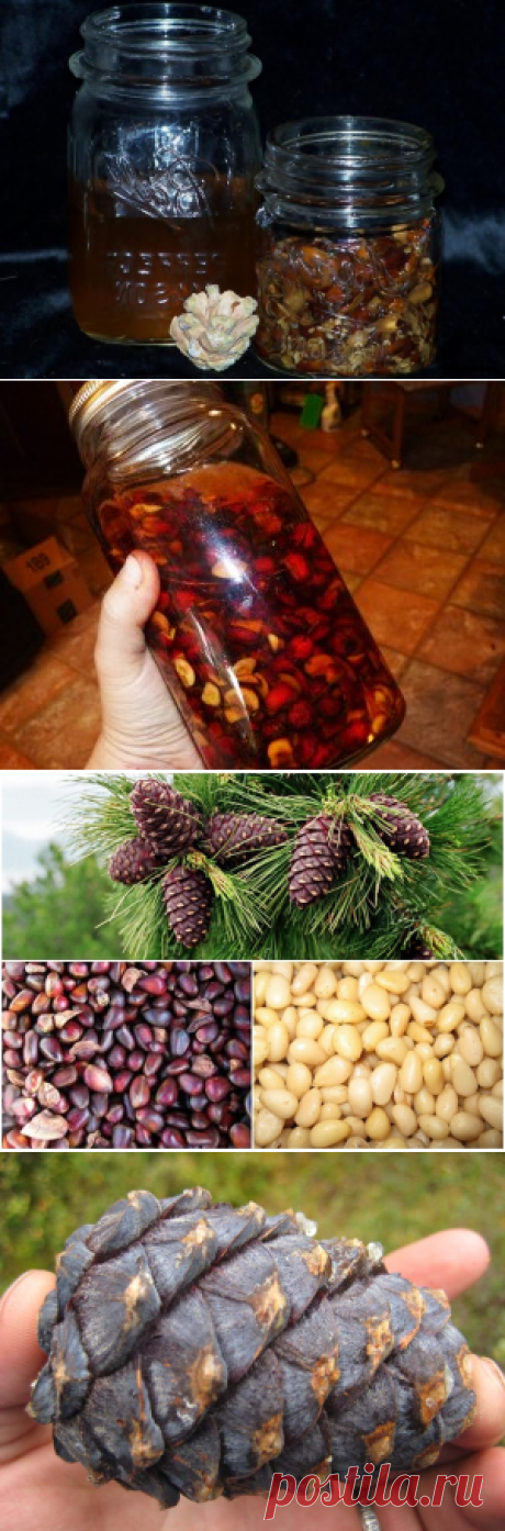 Кедровые орешки.