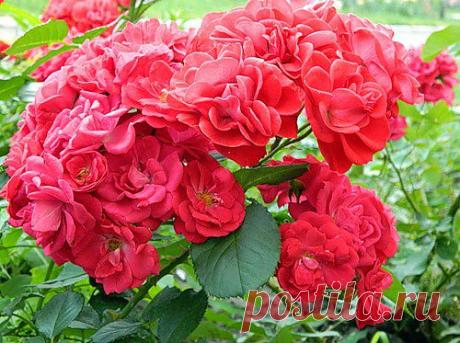 Тараторка — «068.JPG» на Яндекс.Фотках