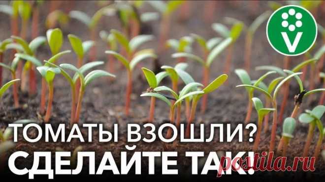 upload_246783189_file