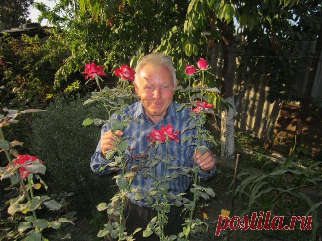 Николай Пхиденко
67 лет, Россия, г. Фролово (Фроловский район)