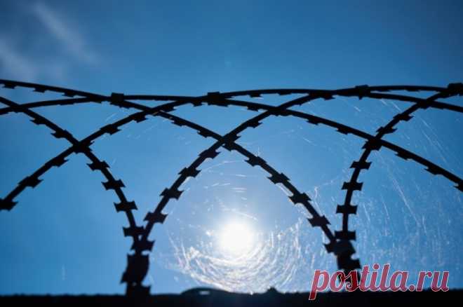 В УФСИН опровергли сообщения об избиении Волкодава в СИЗО перед смертью. Фигурант дела о хищениях на космодроме «Восточный» умер в московской больнице.