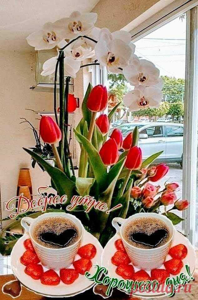 (14) Зина Таирова