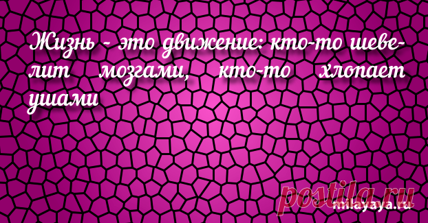 Красивый статус со смыслом в картинках из жизни для женщин (картинка 256) . Милая Я
