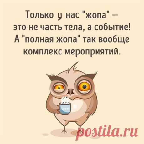 Смехопанорама