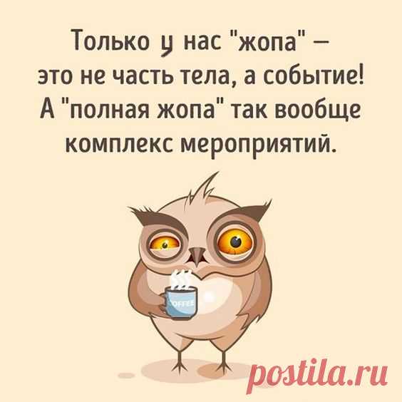 Смехопанорама