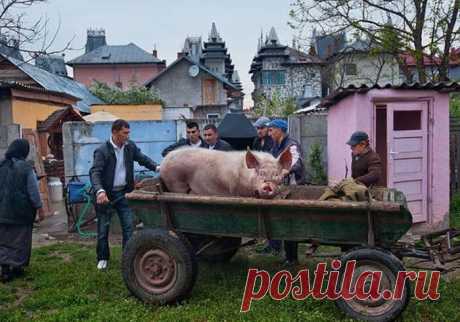 Один из самых богатых городов в мире – цыганский Бузеску.
