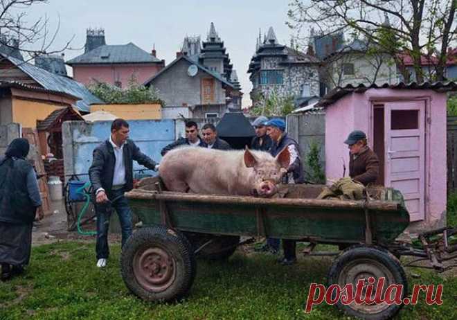 Один из самых богатых городов в мире – цыганский Бузеску.