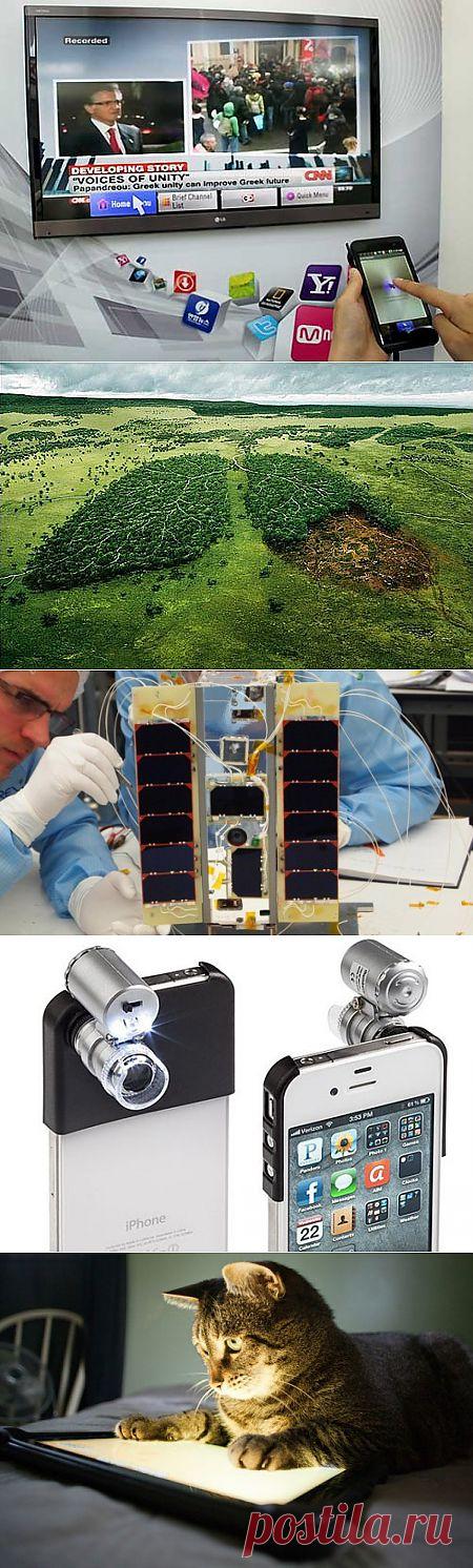 Пять необычных способов использования смартфона/   1. Смартфон – универсальный пульт дистанционного управления / 2. Смартфон – спаситель тропического леса / 3. Смартфон – мозговой центр космического спутника / 4. Смартфон – медлаборатория / 5. Смартфон – игрушка для кота
