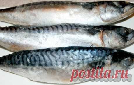 Рецепт скумбрии пряного посола в домашних условиях - готовим пошагово с фото