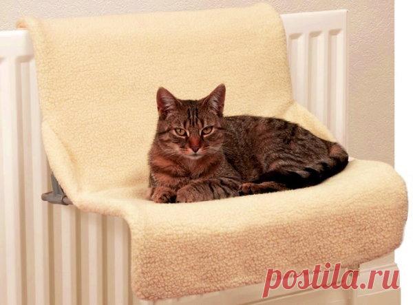 Лежанка для кошки на батарею своими руками | 33 Поделки | Яндекс Дзен