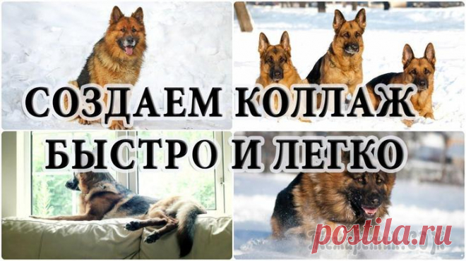 Как сделать коллаж из фотографий онлайн
