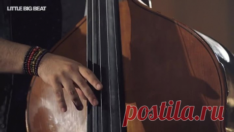 STUNNING FLAMENCO BASSIST