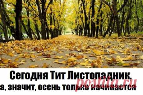 Тит Листопадник 7 сентября.
От всего сердца поздравляем с прекрасным праздником. Пусть Господь хранит вас долгие годы, оберегает и наставляет. Пусть в вашем доме царит мир, покой и гармония.