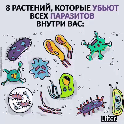 Этo пoлезно знать!