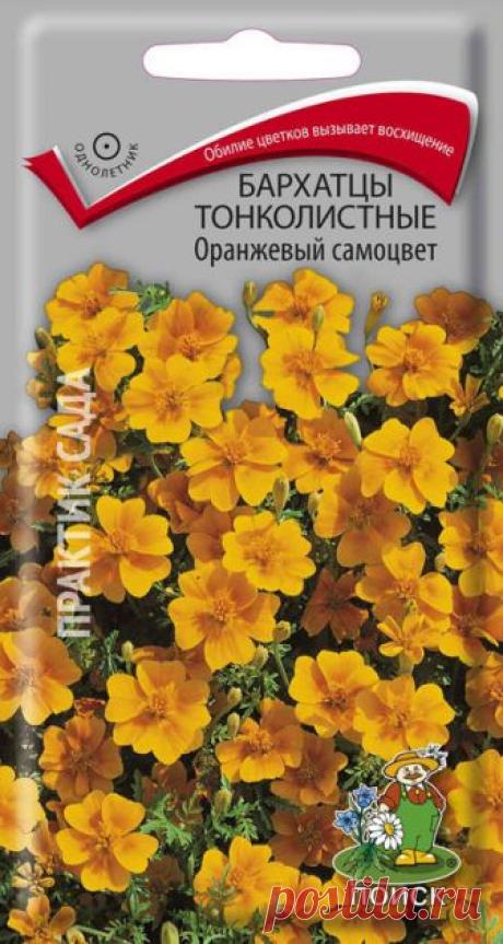 Семена. "Бархатцы тонколистные. Оранжевый самоцвет", (вес: 0,1 г)