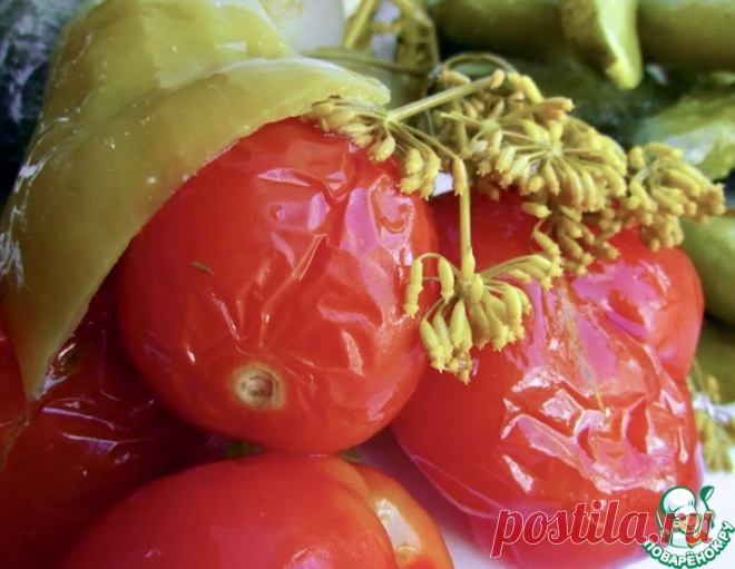 Солёные помидоры – кулинарный рецепт