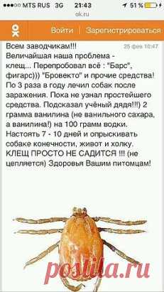 средство отклещей