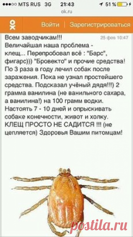 средство отклещей