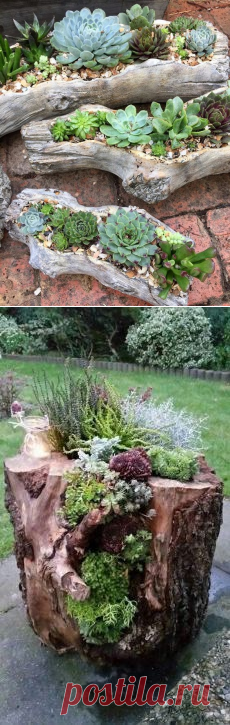 (1) Pinterest