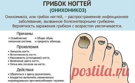 (48) Одноклассники