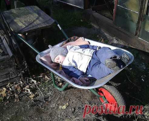Даже если родители забыли коляску - бабушка найдет выход. )))
СОХРАНИТЬУстановить себе