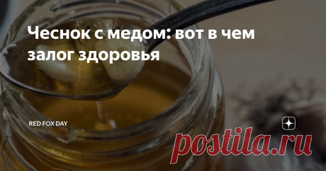 Чеснок с медом: вот в чем залог здоровья О том, насколько может быть полезен чеснок с медом, мало кому известно. Это проверенное средство, которое помогает оздоровить организм и предупредить множество проблем в работе внутренних систем.
Мед и чеснок принято сочетать с имбирем и лимоном, которые тоже обладают массой ценных свойств. Их готовят по рецептам, которые можно отыскать в этой статье.