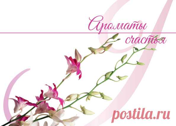 Выход весеннего номера журнала «Ароматы счастья» | Блог Ирины Зайцевой