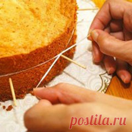 как ровно разрезать коржи для торта