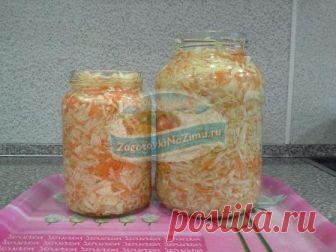 Лучшие рецепты капусты на зиму в банках. ТОП - 10