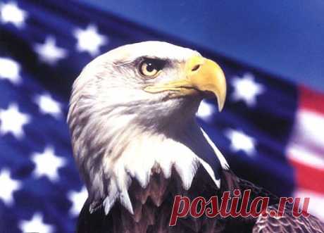 Из истории возникновения США. | Клуб интеллектуалов