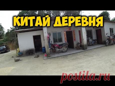 КИТАЙ. ДЕРЕВНЯ. ДАЧА ПОД ГУАНЧЖОУ. ОТОРВАЛ ХВОСТ 🐔 КУРИЦЕ. РИС В БАМБУКЕ -ТРАДИЦИОННАЯ ЕДА.