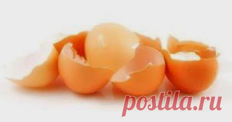 Яичная скорлупа vs аллергия и диатез