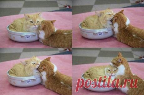 5 стадий любви, через которые до конца проходят самые крепкие пары: