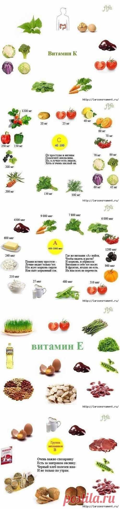 Свойства витаминов.