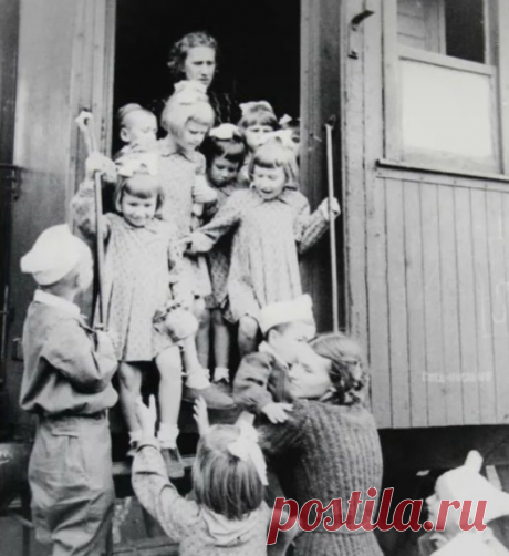 Выжило всего 18: чем закончилась эвакуация детей из Ленинграда прямо под нос фашистам