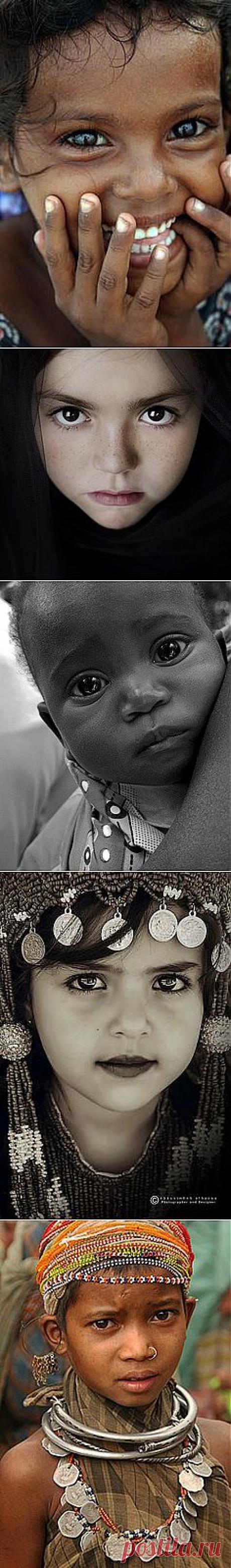 rural wrap | Windows to the Soul