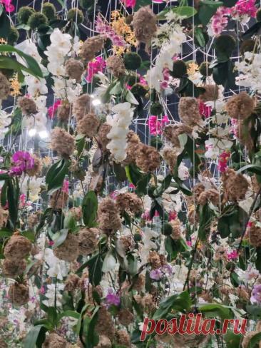 Цифровое арт-пространство Futurione на ВДНХ. Зал "танцующих" орхидей. г. Москва, 2-я Останкинская 3, ВДНХ, Солнце Москвы, Futurione #фиджитал #арт #вы... — Wibes Цифровое арт-пространство Futurione на ВДНХ. Зал "танцующих" орхидей. г. Москва, 2-я Останкинская 3, ВДНХ, Солнце Москвы, Futurione #фиджитал #арт #вы...