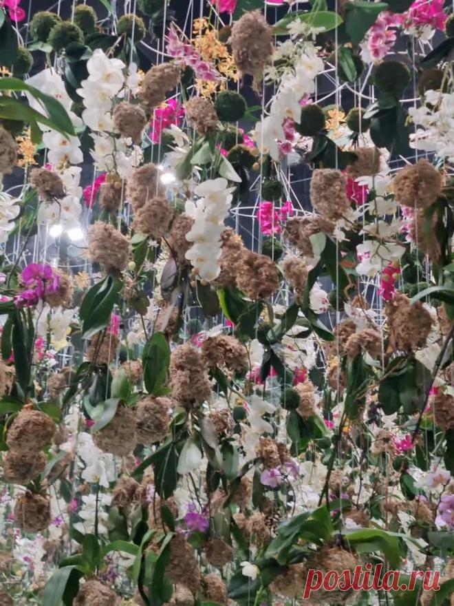 Цифровое арт-пространство Futurione на ВДНХ. Зал 