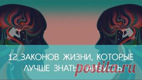 12 ЗАКОНОВ ЖИЗНИ, КОТОРЫЕ ЛУЧШЕ ЗНАТЬ НАИЗУСТЬ | ECONET.RU