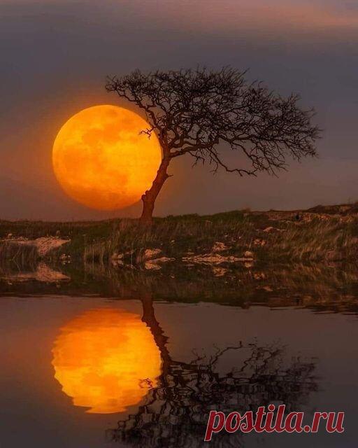 Разделение миров | ЯGА.CLUB | Дзен