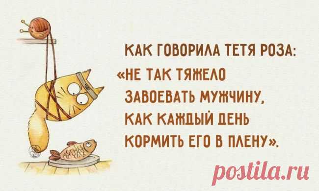 =ШКОЛА ОСТРОУМИЯ...=