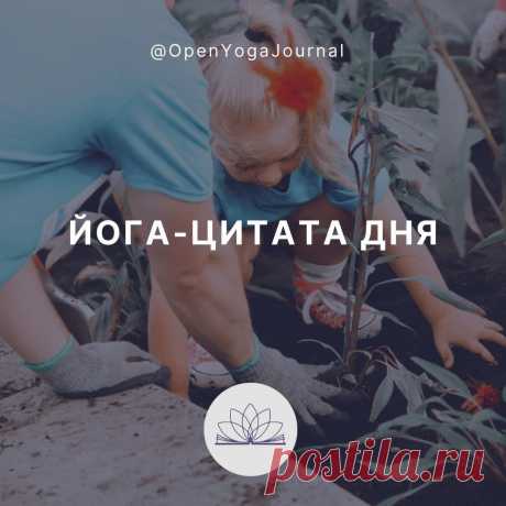 ЙОГА-ЦИТАТА ДНЯ: О ВЗАИМОДЕЙСТВИИ С МИРОМ.
Цитата из статьи: &quot;Йога ключ к себе&quot;
Кто-то по жизни идёт путем помощи другим живым существам в избавлении от страданий. Следуя рекомендациям йоги относительно последовательности соблюдения принципов: в первую очередь, Доброты к себе и окружающим, во вторую, Эффективности и нерастрачивания сил на посторонние дела, и только потом активная помощь другим, — нам всегда будет хватать сил и энергии для жизни.