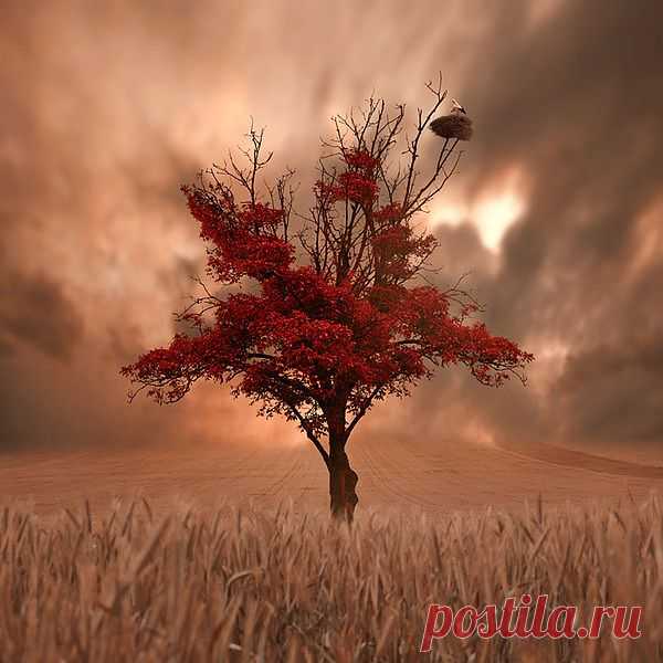 Мой Мир@Mail.Ru