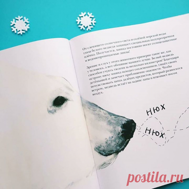 Книжка-картинка «Белый медведь» ( создана для тех, кто не любит энциклопедии с их сухим набором цифр и фактов. Она наполнена научными знаниями, которые поданы в виде увлекательной познавательной сказки на ночь. Атмосферные иллюстрации погружают ребенка в мир северных гигантов, а детали-подсказки позволяют ему совершить массу интересных открытий. Книга перенесет вас в загадочный мир арктических пустынь, где обитают самые большие наземные хищники нашей планеты — белые медведи. Вас ждет…