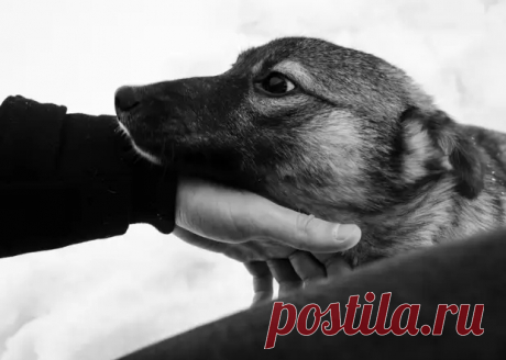 Булочка для бомжа - Смехотерапия - 28 января - 43199063449 - Медиаплатформа МирТесен