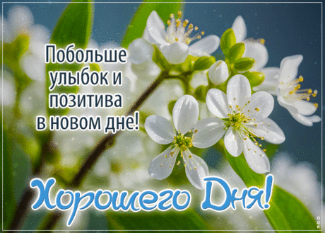Сверкающая гиф-открытка, побольше улыбок в новом дне