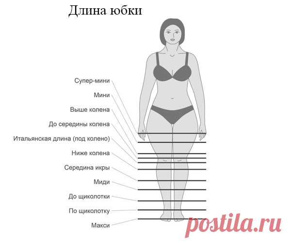 Длина юбки - Стилист-имиджмейкер